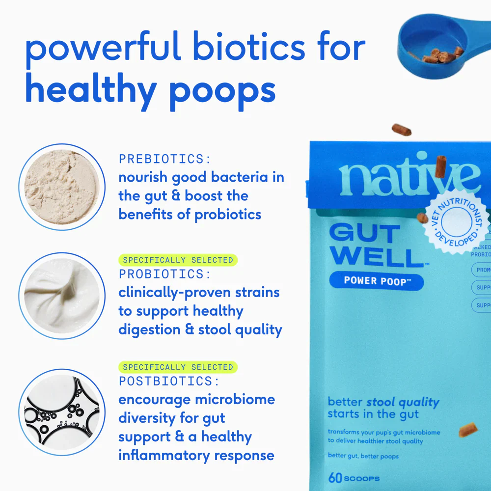 Native Pet Gutwell Power Poop Digestion Support Supplement for Dogs 12.7-oz - Image 3