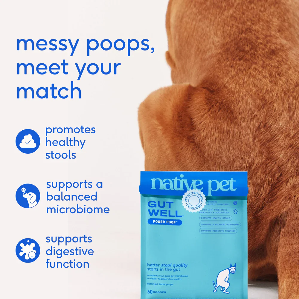 Native Pet Gutwell Power Poop Digestion Support Supplement for Dogs 12.7-oz - Image 4