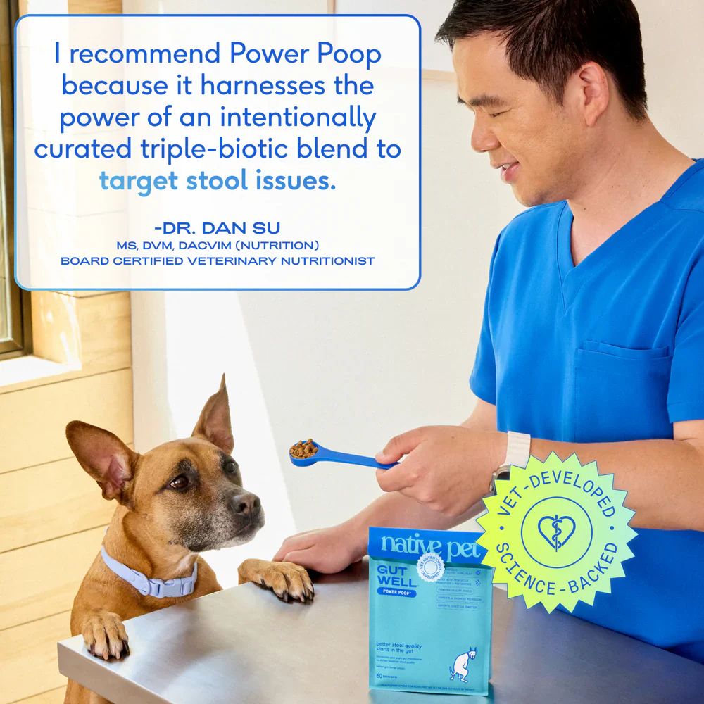 Native Pet Gutwell Power Poop Digestion Support Supplement for Dogs 12.7-oz - Image 7