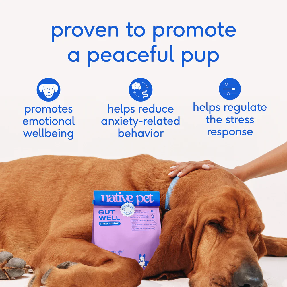 Native Pet GutWell Stress Support Anxiety Relief & Calming Supplement for Dogs 12.7-oz - Image 4