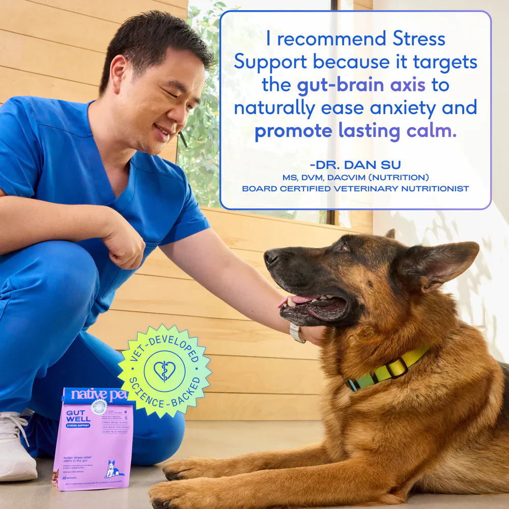 Native Pet GutWell Stress Support Anxiety Relief & Calming Supplement for Dogs 12.7-oz - Image 7