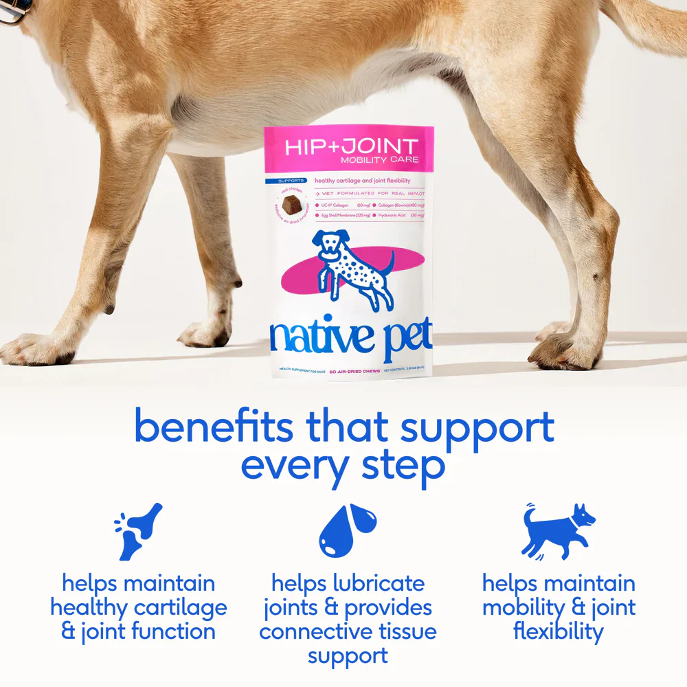 Native Pet Hip & Joint Mobility Care Chews for Dogs 60 Count - Image 4
