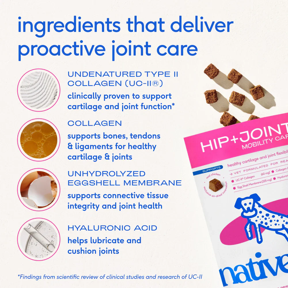 Native Pet Hip & Joint Mobility Care Chews for Dogs 60 Count - Image 5