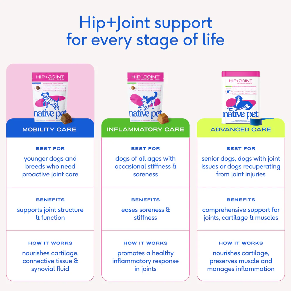 Native Pet Hip & Joint Mobility Care Chews for Dogs 60 Count - Image 8