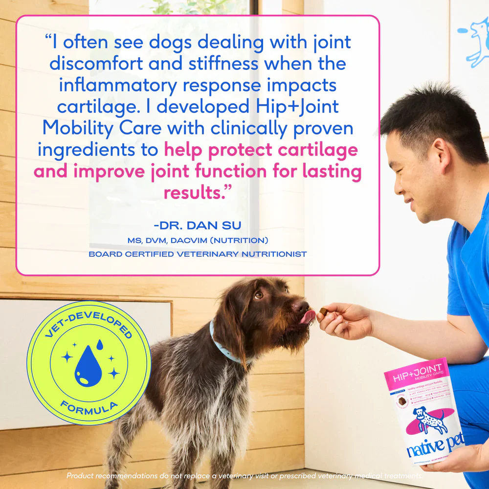 Native Pet Hip & Joint Mobility Care Chews for Dogs 60 Count - Image 9