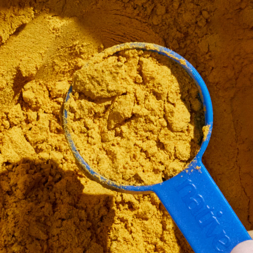 Native Pet Organic Pumpkin Fiber Powder Digestive Supplement for Dogs 8-oz - Image 6
