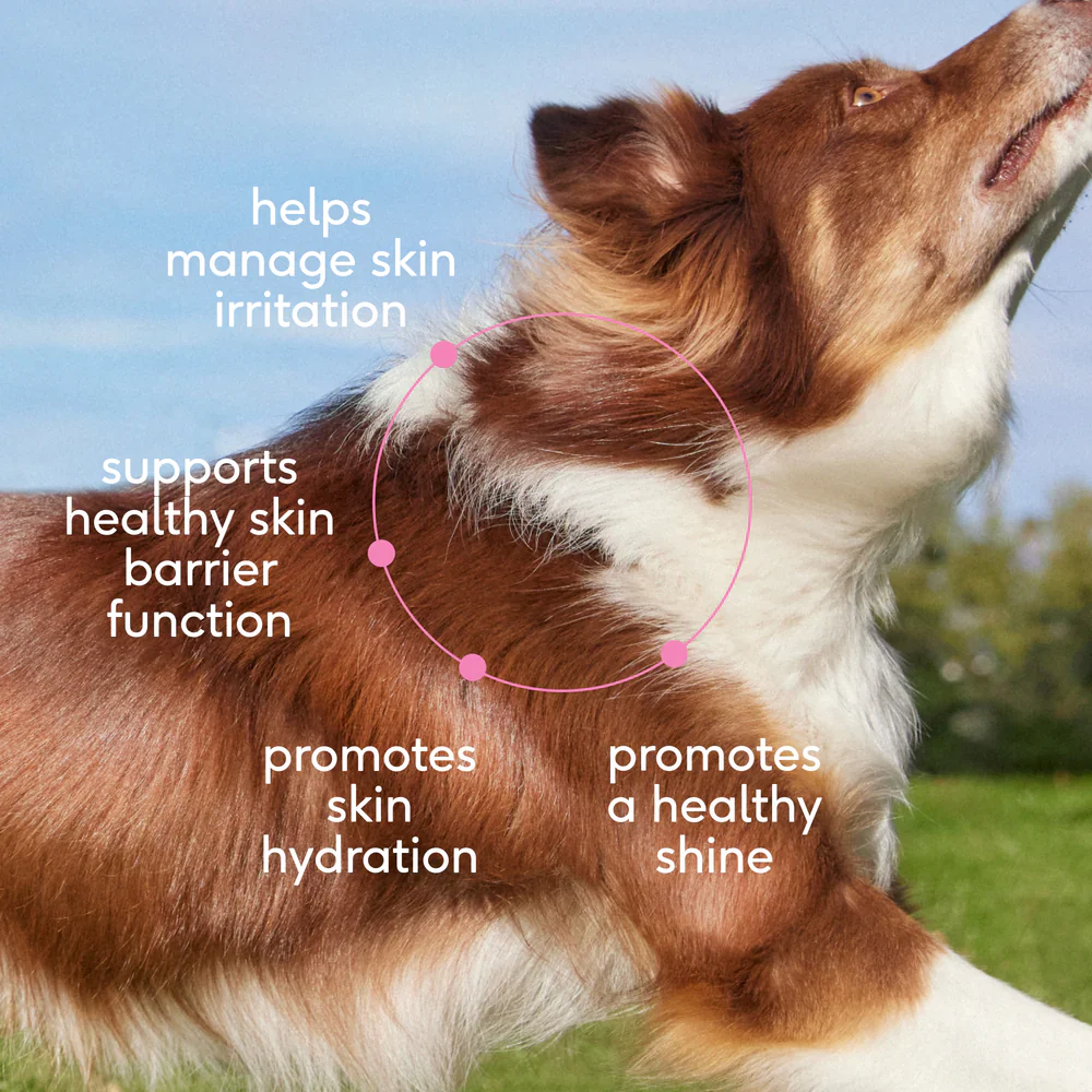 Native Pet Skin & Coat Chews Supplement for Dogs 30 Count - Image 4