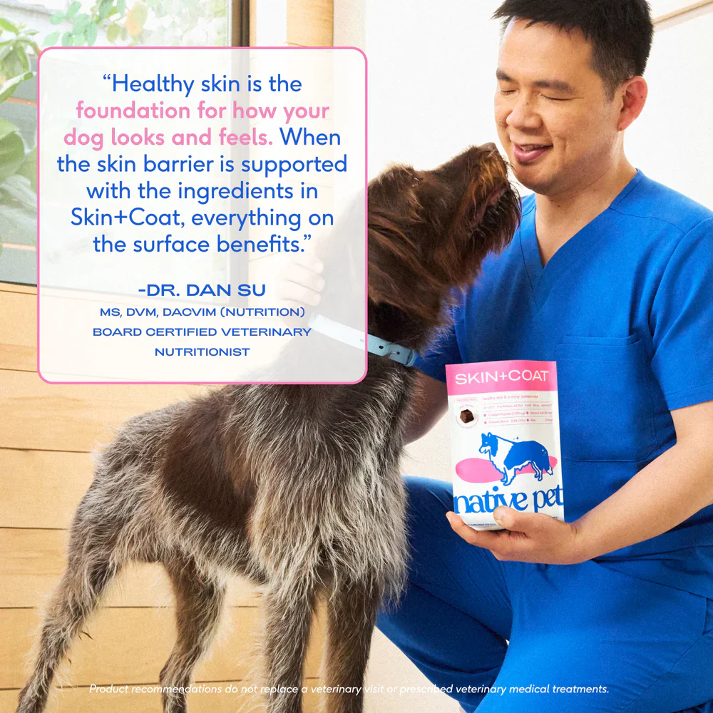 Native Pet Skin & Coat Chews Supplement for Dogs 30 Count - Image 5