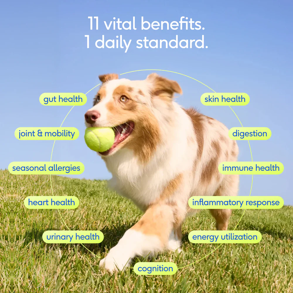 Native Pet The Daily Powder 11-in-1 Supplement for Dogs 7-oz - Image 4