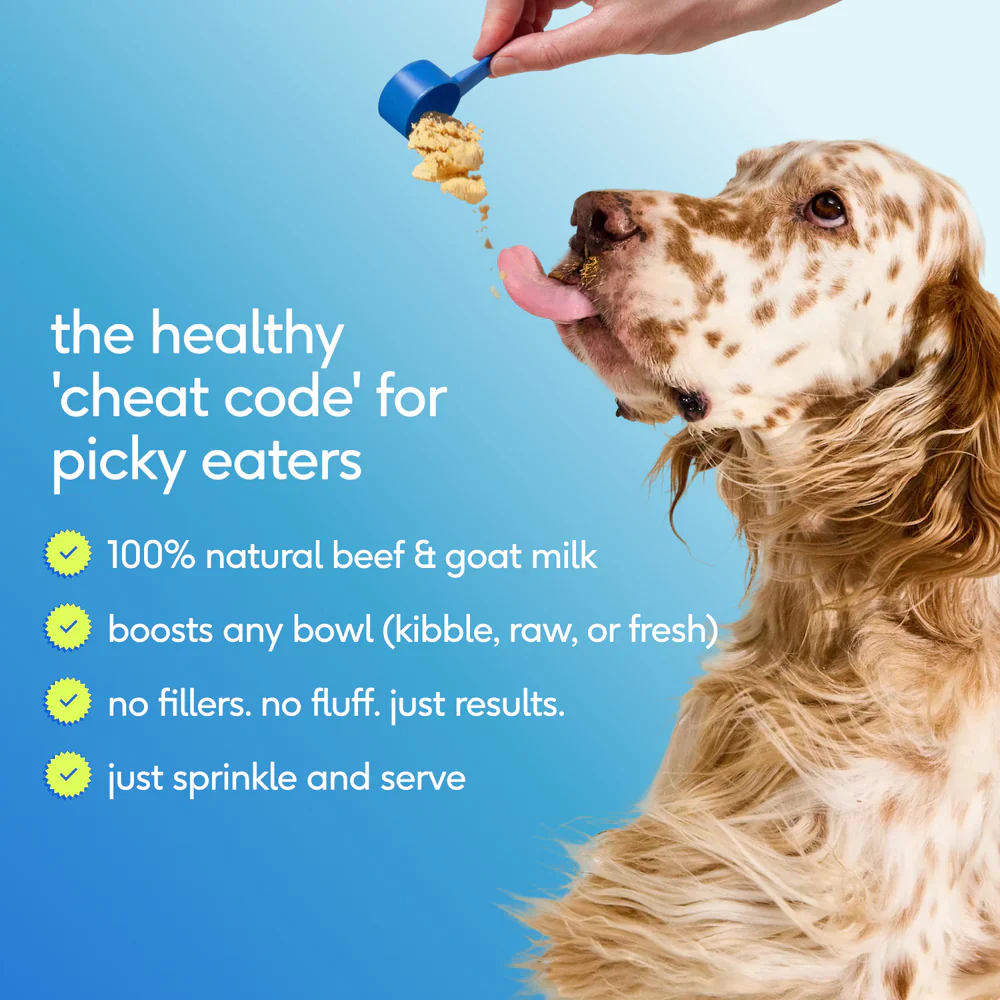 Native Pet The Daily Powder 11-in-1 Supplement for Dogs 7-oz - Image 9