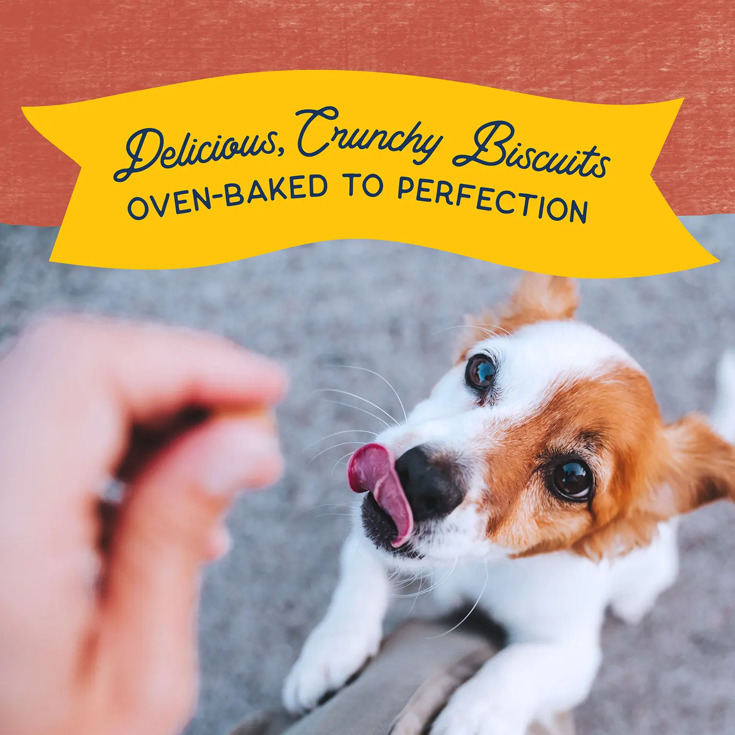 Natural Balance Pet Foods Rewards Bite-Size Crunchy Biscuits Small Breed Dog Treats Salmon 8-oz - Image 3