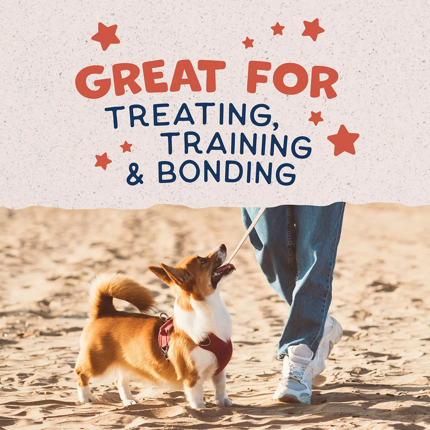 Natural Balance Pet Foods Rewards Bite-Size Crunchy Biscuits Small Breed Dog Treats Salmon 8-oz - Image 8