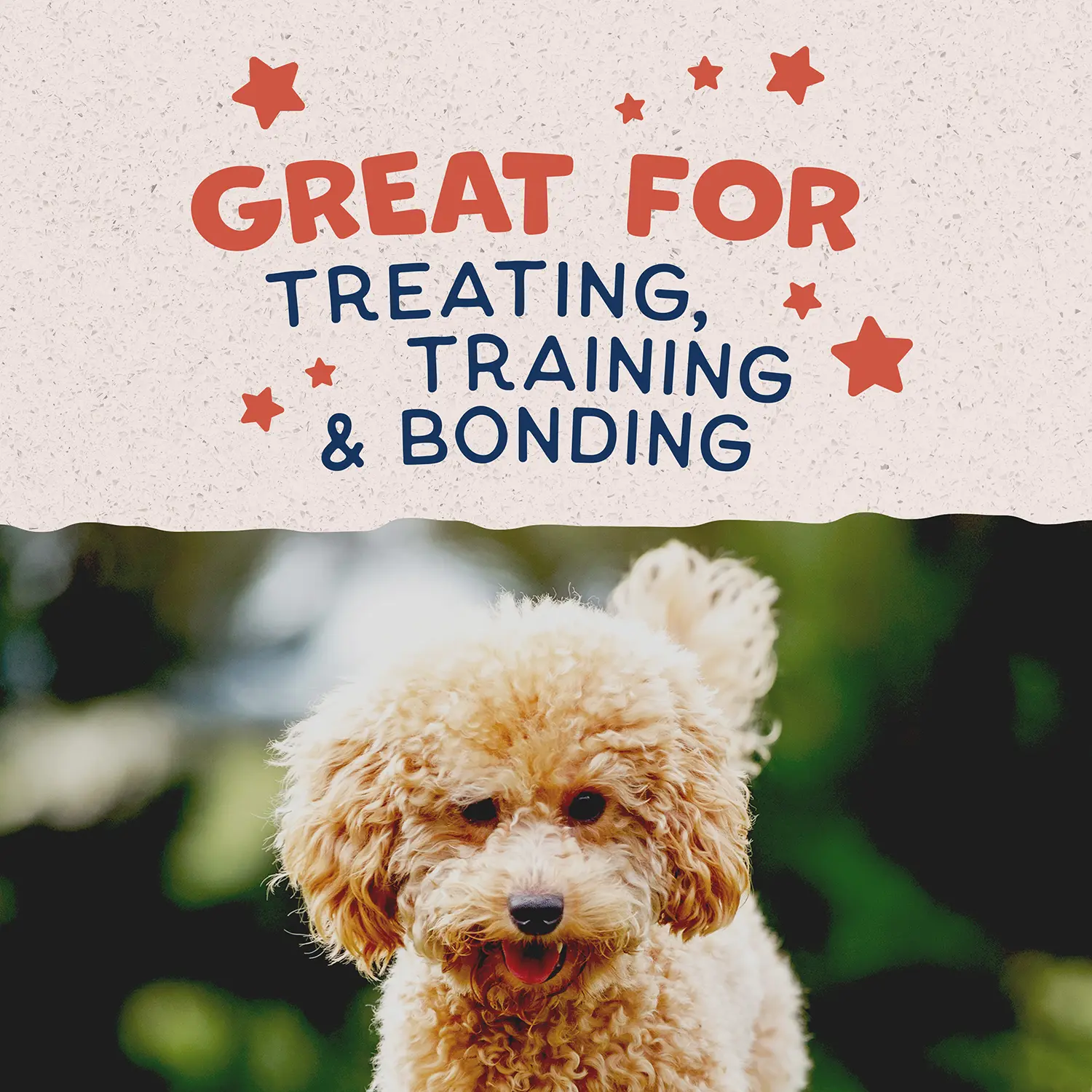 Natural Balance Pet Foods Rewards Minis Soft & Meaty Dog Treats Salmon 5.3-oz - Image 10
