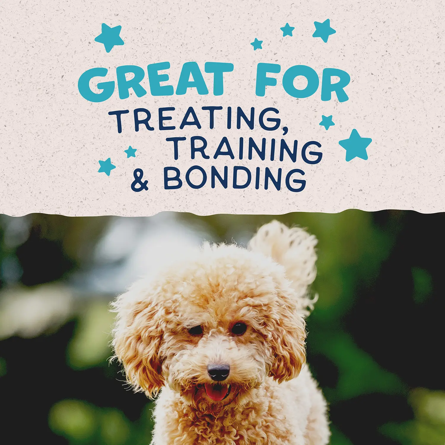Natural Balance Pet Foods Rewards Minis Soft & Meaty Dog Treats Turkey 5.3-oz - Image 10