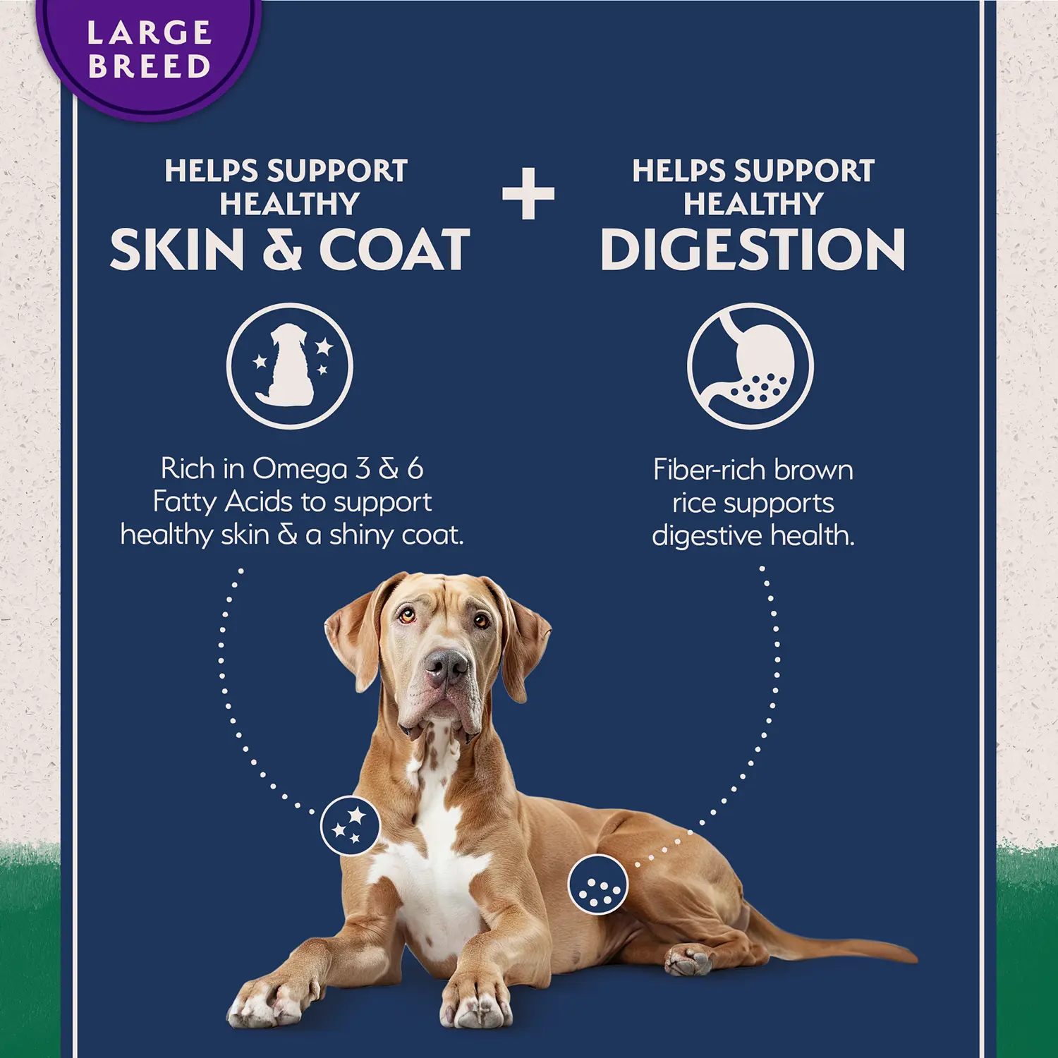 Natural Balance Pet Foods Limited Ingredient Large Breed Adult Dry Dog Food Lamb & Brown Rice 26-lb - Image 4