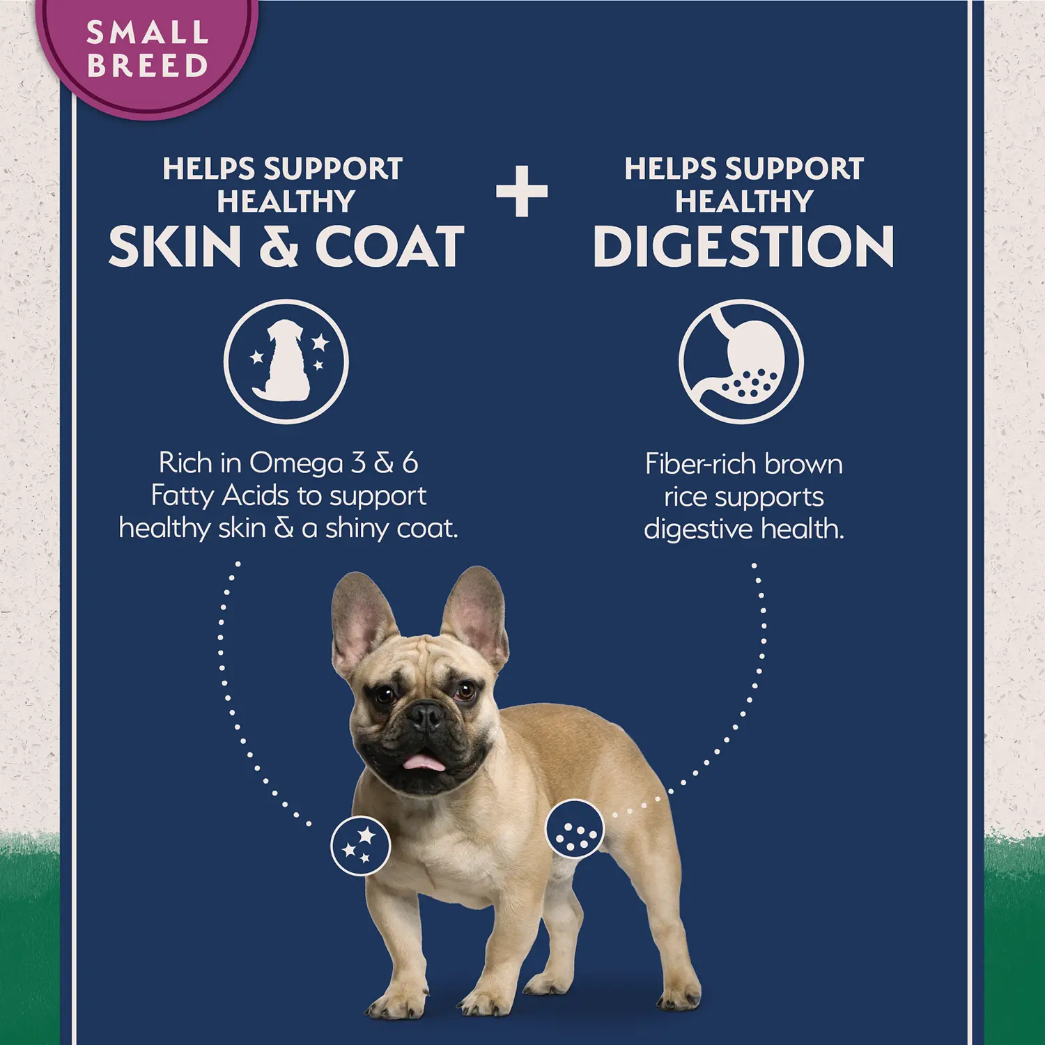 Natural Balance Pet Foods Limited Ingredient Small Breed Dry Dog Food Lamb & Brown Rice 4-lb - Image 4