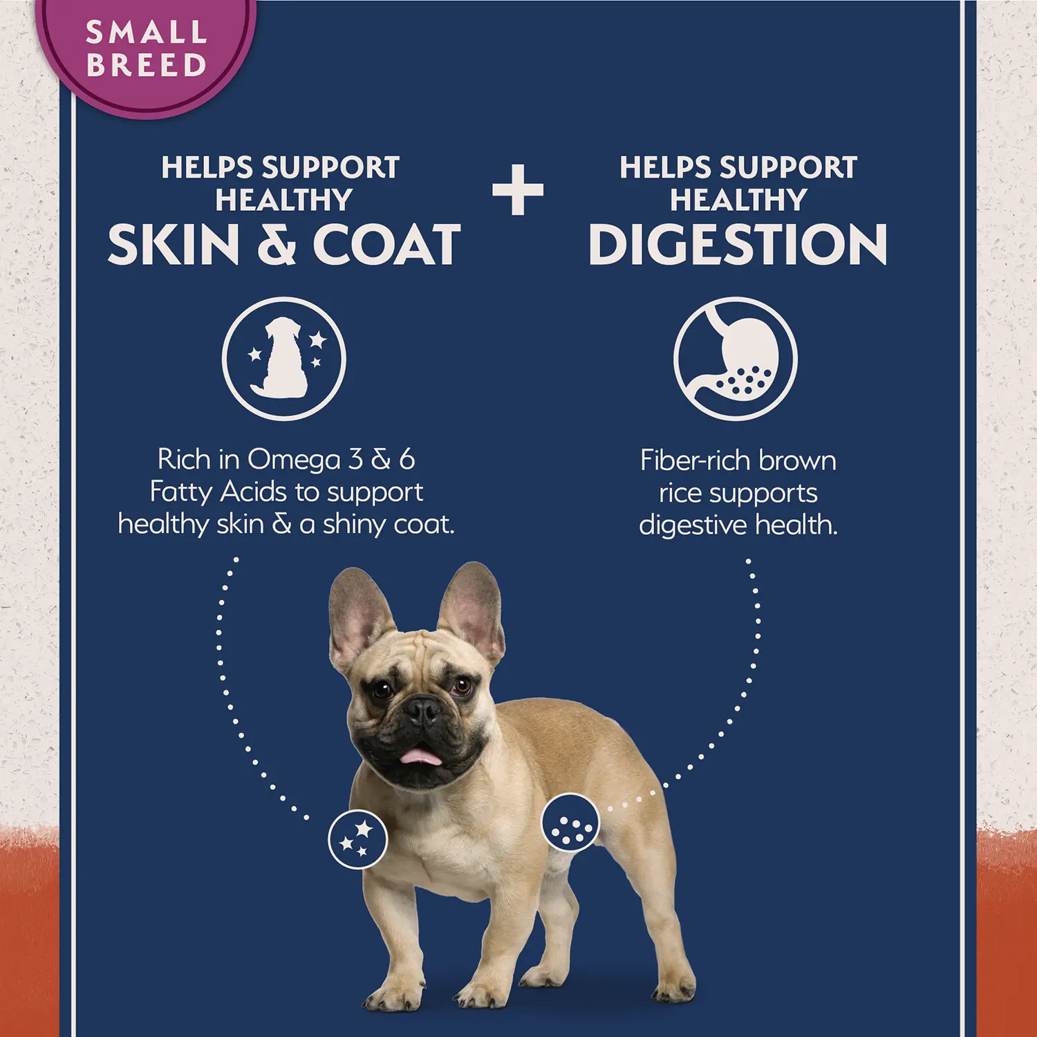 Natural Balance Pet Foods Limited Ingredient Grain Free Small Breed Dry Dog Food Salmon & Sweet Potato 4-lb - Image 4