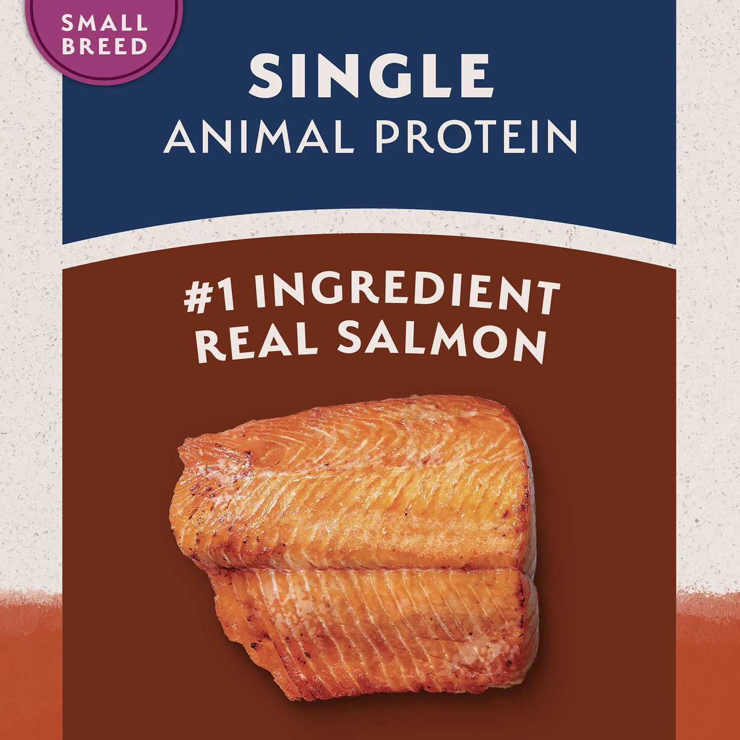 Natural Balance Pet Foods Limited Ingredient Grain Free Small Breed Dry Dog Food Salmon & Sweet Potato 4-lb - Image 7
