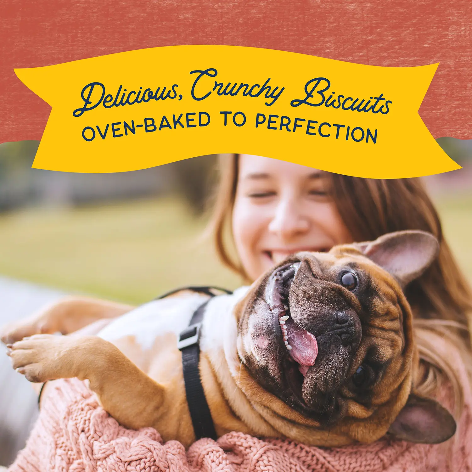 Natural Balance Pet Foods Rewards Crunchy Biscuits Dog Treats Salmon 14-oz - Image 3