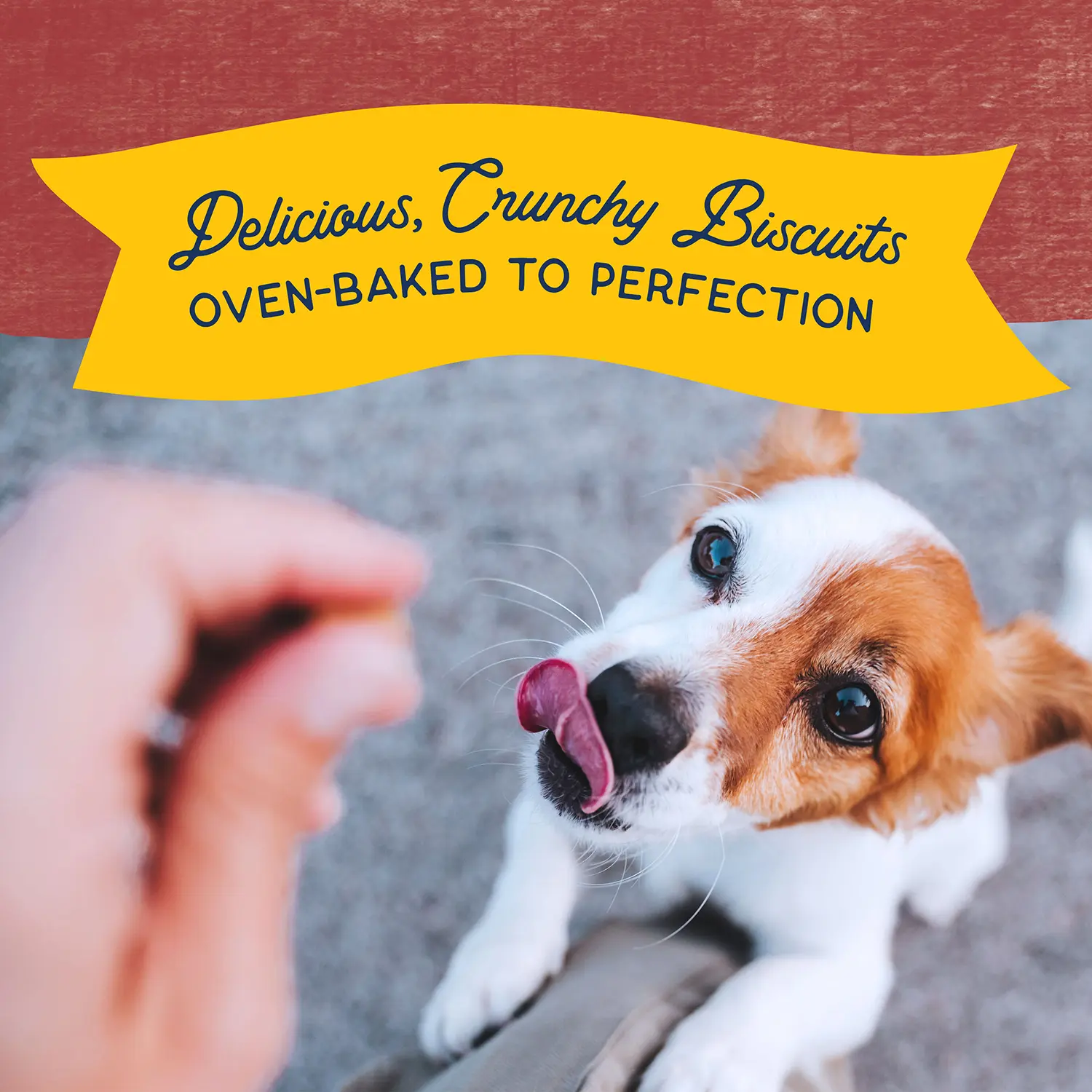 Natural Balance Pet Foods Rewards Bite-Size Crunchy Biscuits Small Breed Dog Treats Bison 8-oz - Image 3
