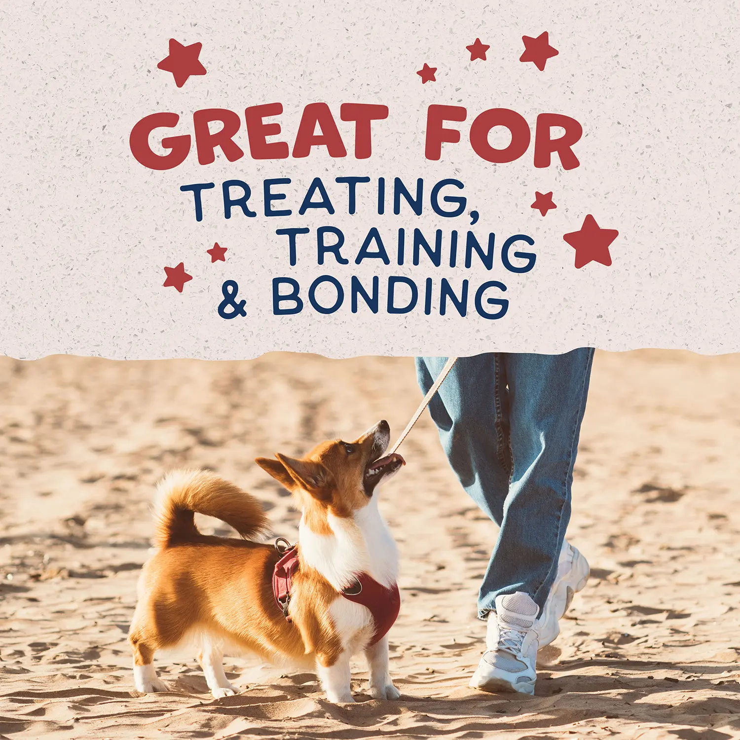 Natural Balance Pet Foods Rewards Bite-Size Crunchy Biscuits Small Breed Dog Treats Bison 8-oz - Image 9
