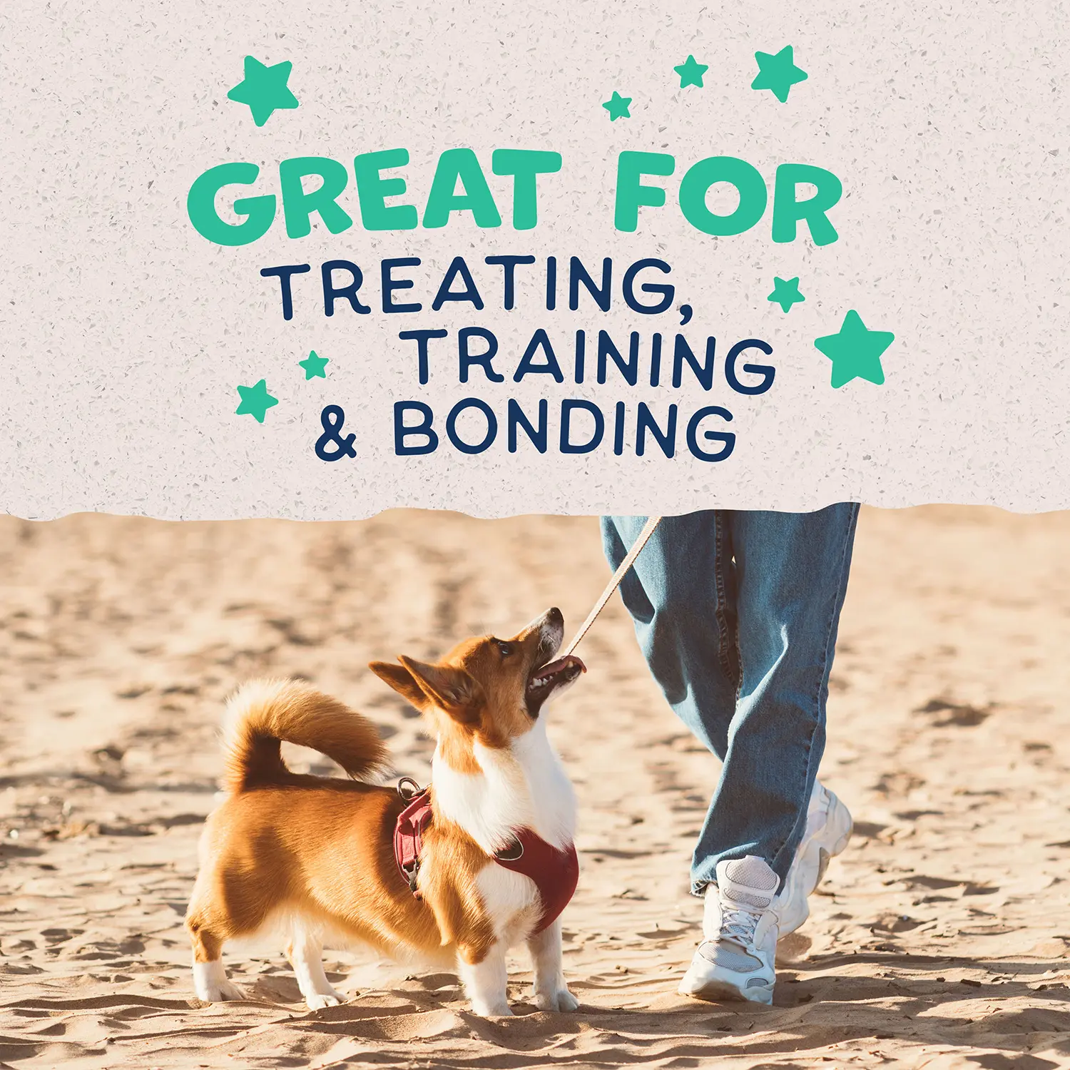 Natural Balance Pet Foods Rewards Bite-Size Crunchy Biscuits Small Breed Dog Treats Chicken 8-oz - Image 8