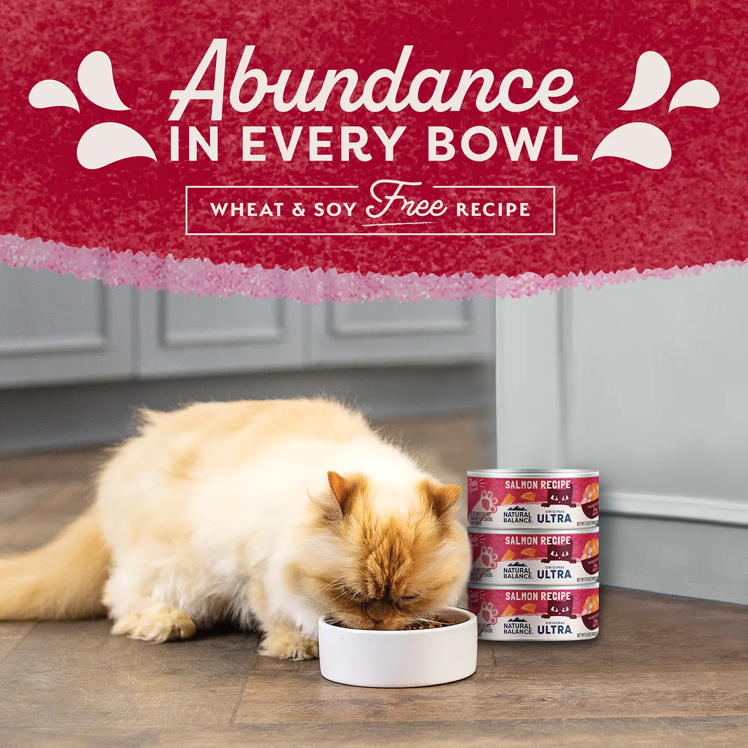 Natural Balance Pet Foods Original Ultra Canned Cat Food Salmon 5.5-oz - Image 10