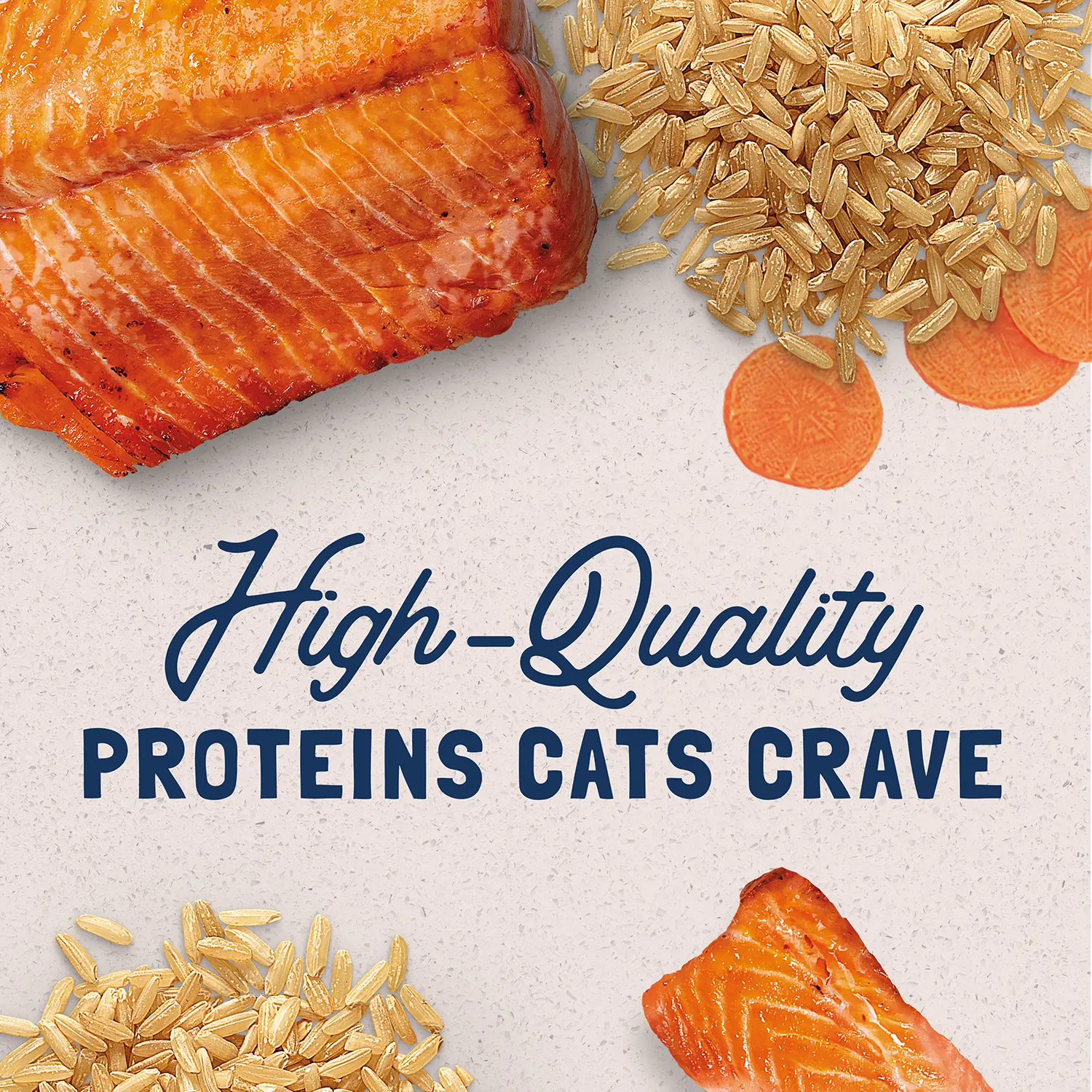Natural Balance Pet Foods Original Ultra Canned Cat Food Salmon 5.5-oz - Image 6