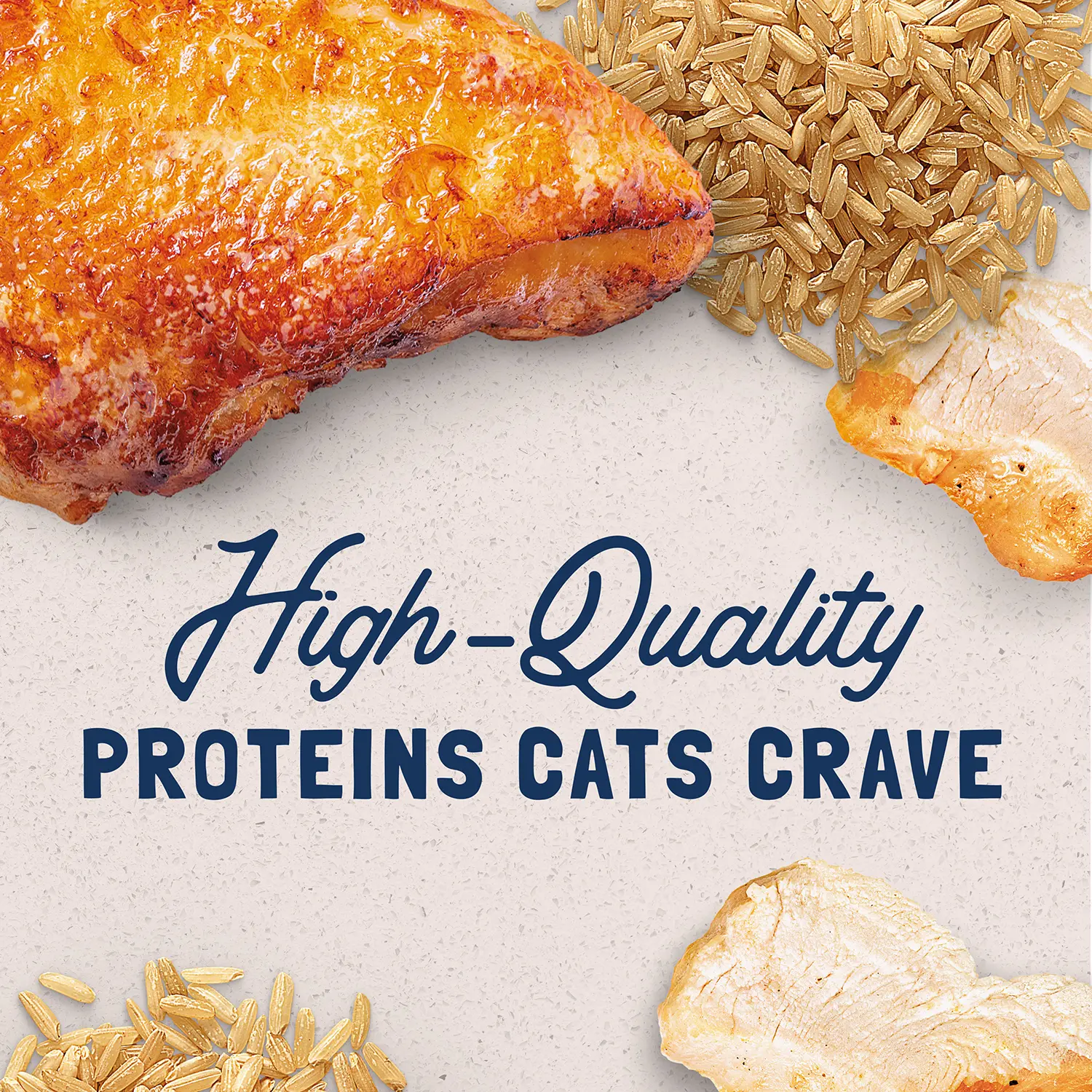 Natural Balance Pet Foods Original Ultra Canned Cat Food Chicken & Liver 5.5-oz - Image 6
