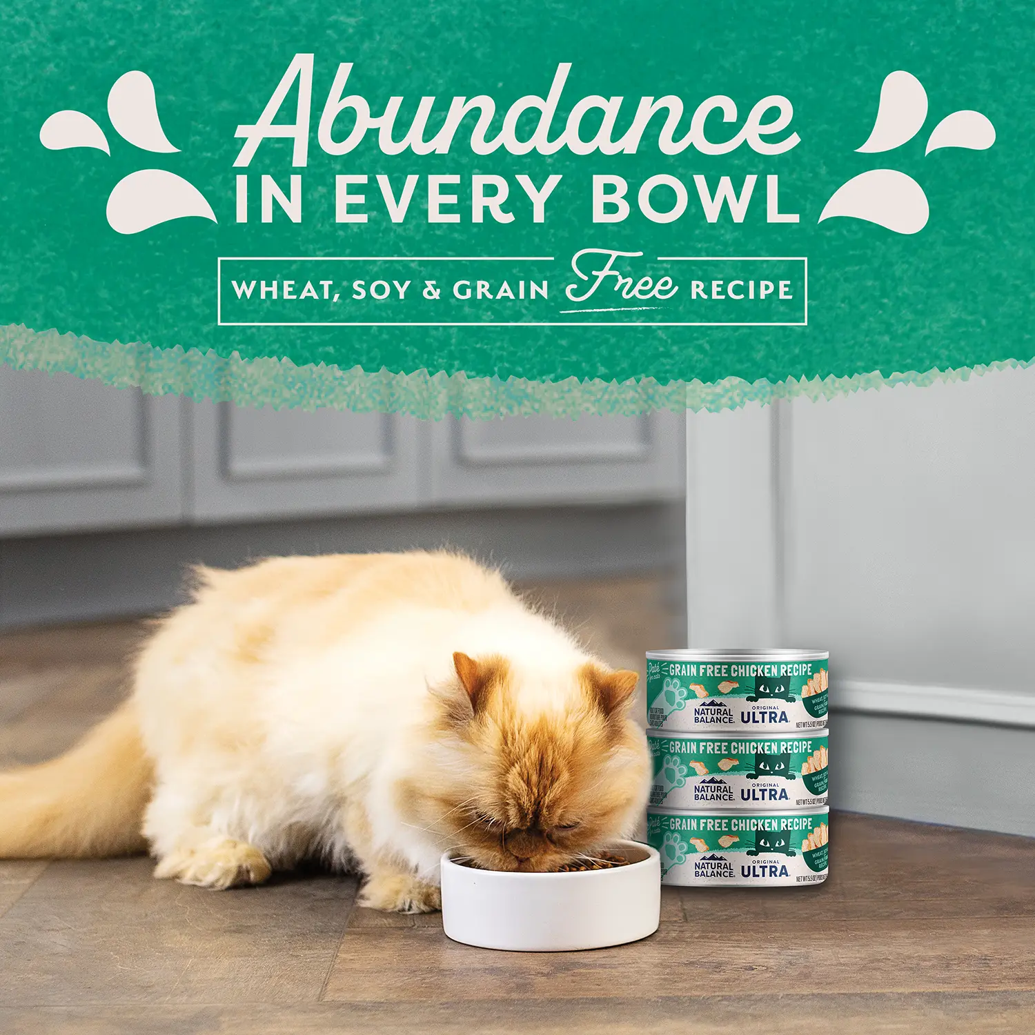 Natural Balance Pet Foods Original Ultra Grain Free Canned Cat Food Chicken 5.5-oz - Image 9