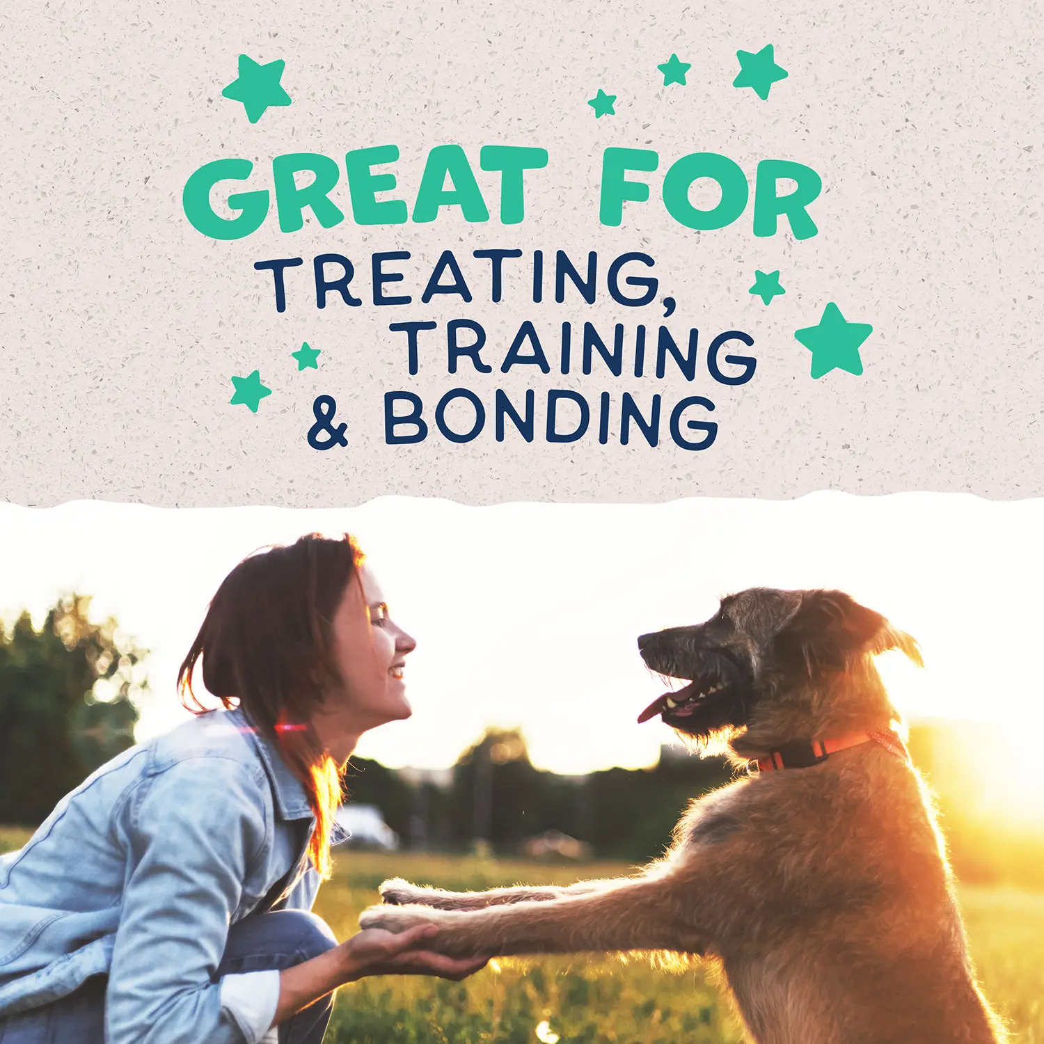 Natural Balance Pet Foods Rewards Jumpin' Stix Soft & Meaty Dog Treats Chicken 4-oz - Image 10