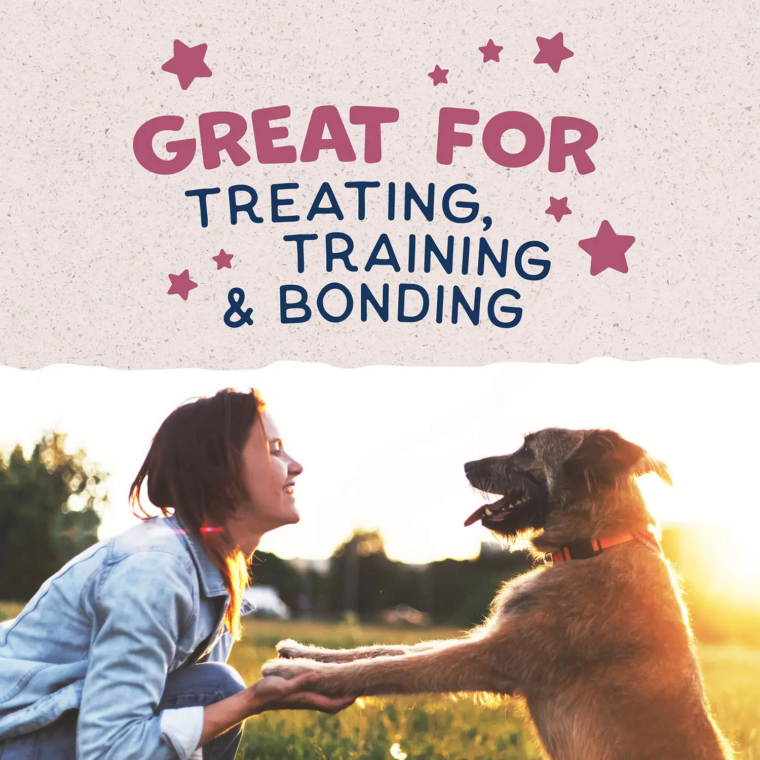 Natural Balance Pet Foods Rewards Jumpin' Stix Soft & Meaty Dog Treats Venison 10-oz - Image 9