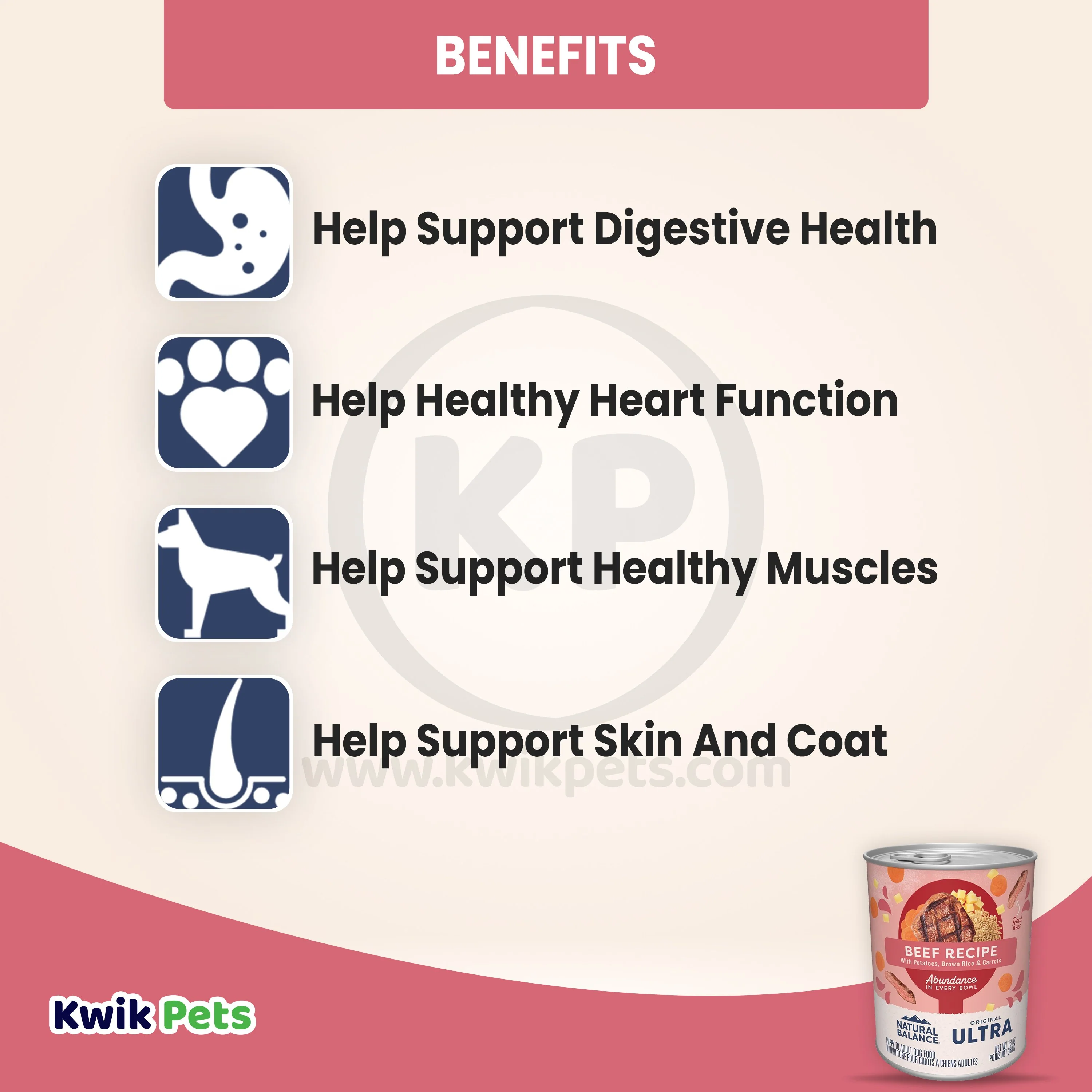 Natural Balance Pet Foods Original Ultra Abundance Canned Dog Food Beef 13-oz - Image 4