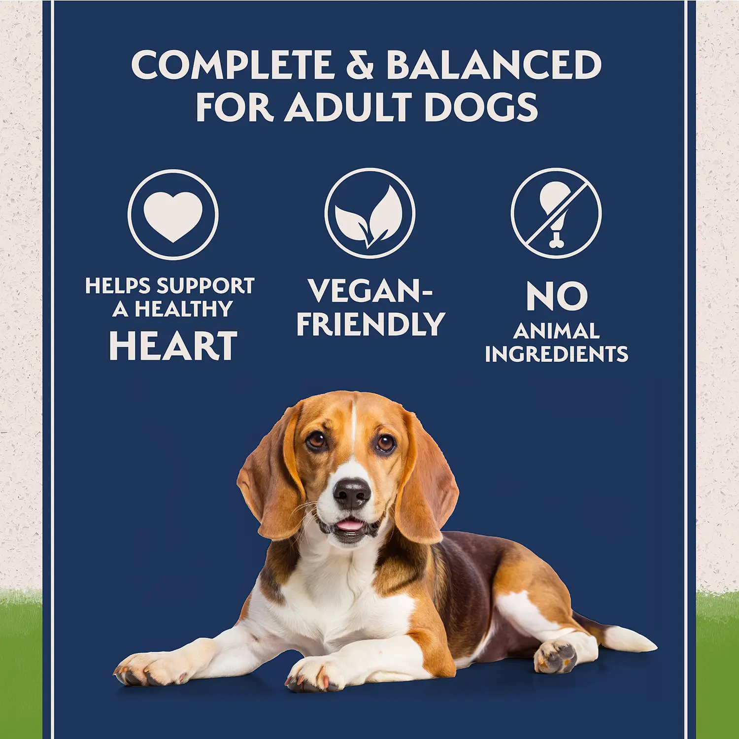 Natural Balance Pet Foods L.I.D Plant Powered Vegan Friendly Vegetarian Recipe Canned Dog Food 13-oz - Image 4