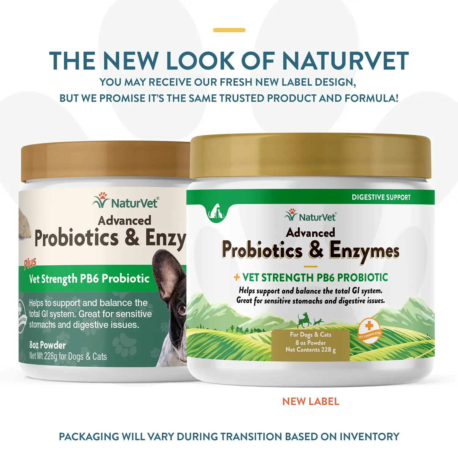NaturVet Advanced Probiotic & Enzymes Powder for Dogs & Cats 8-oz - Image 3