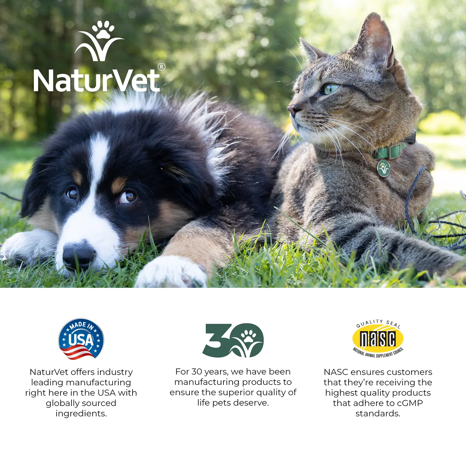 NaturVet All-in-One Daily Essentials Powder for Dogs & Cats 13-oz - Image 9