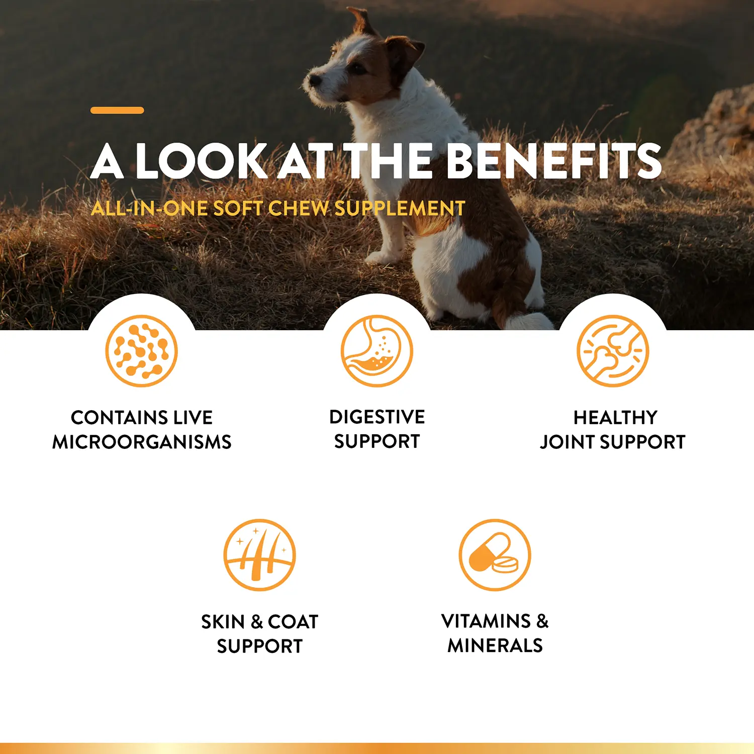 NaturVet All-in-One Soft Chews for Dogs 60 Count 8.4-oz - Image 3