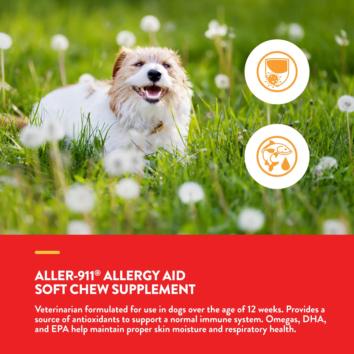 NaturVet Aller-911 Allergy Aid Plus Antioxidants Soft Chews for Dogs 70 Count 5.4-oz - Image 2