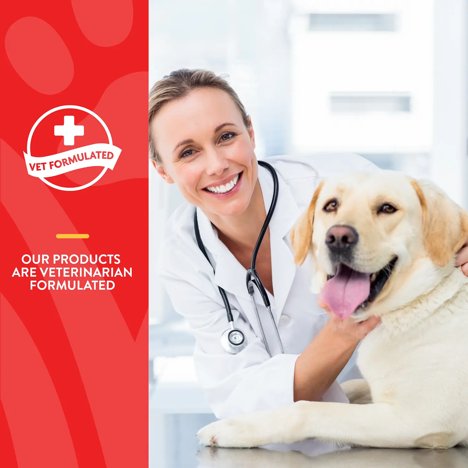 NaturVet Aller-911 Hot Spot Allergy Aid Foam for Dogs & Cats 8-oz - Image 3