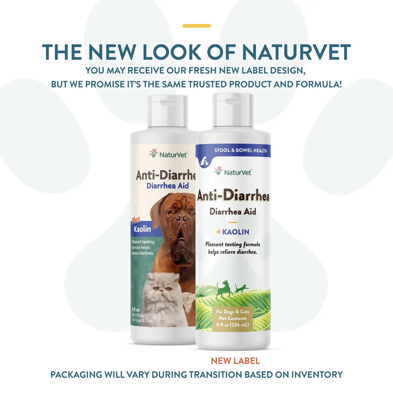 NaturVet Anti-Diarrhea Plus Kaolin Liquid for Dogs & Cats 8-oz - Image 2