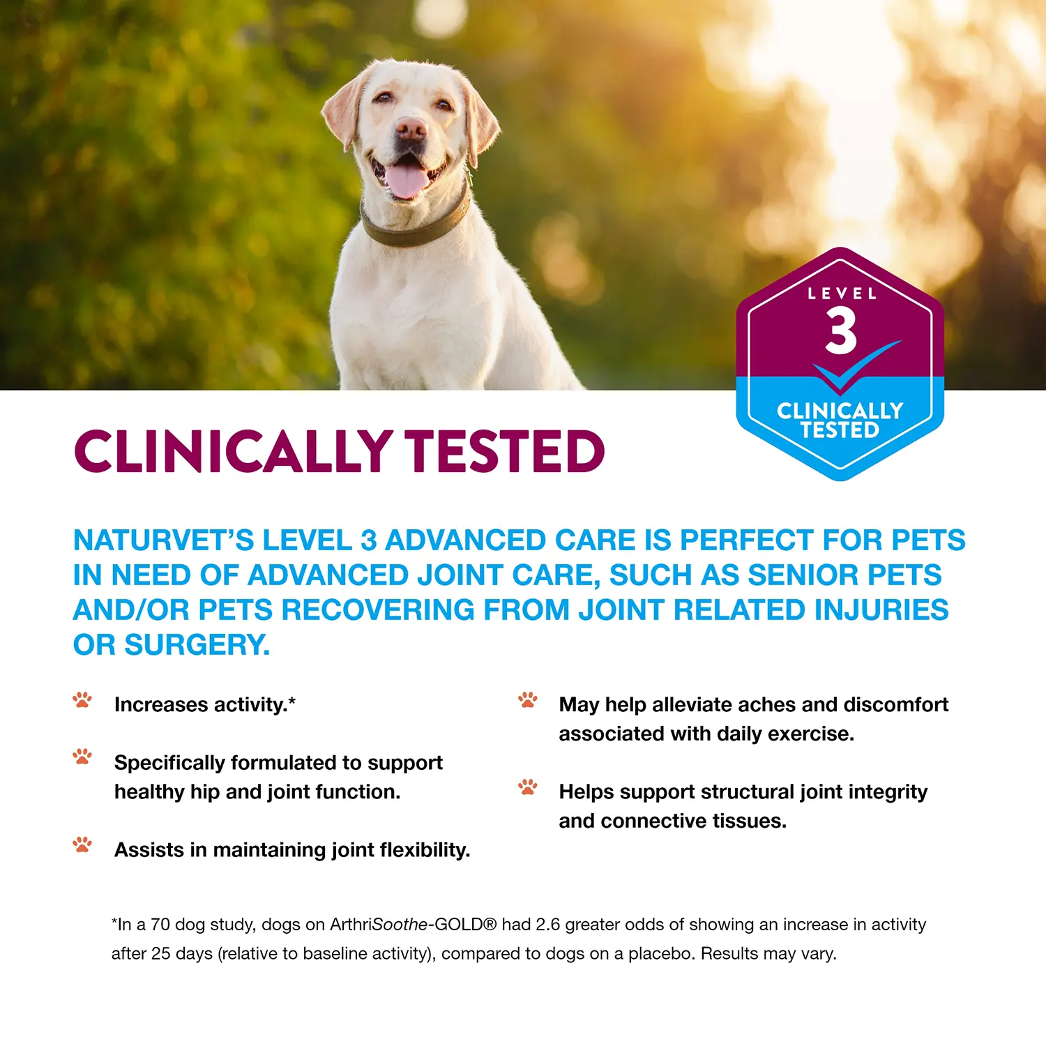 NaturVet ArthriSoothe-GOLD Level 3 Time Release Chewable Tablets for Dogs & Cats 40 Count 7-oz - Image 4