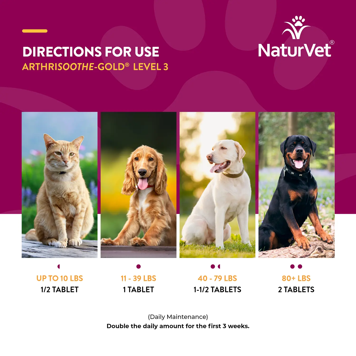 NaturVet ArthriSoothe-GOLD Level 3 Time Release Chewable Tablets for Dogs & Cats 40 Count 7-oz - Image 8