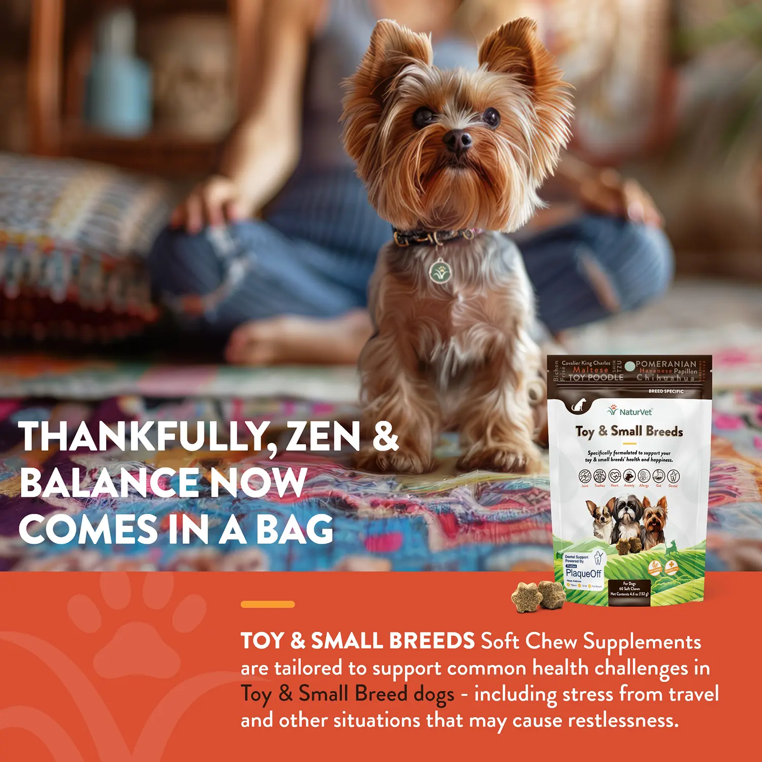 NaturVet Breed Specific Toy & Small Breeds Soft Chew Supplement for Dogs 60 Count 4.6-oz - Image 4