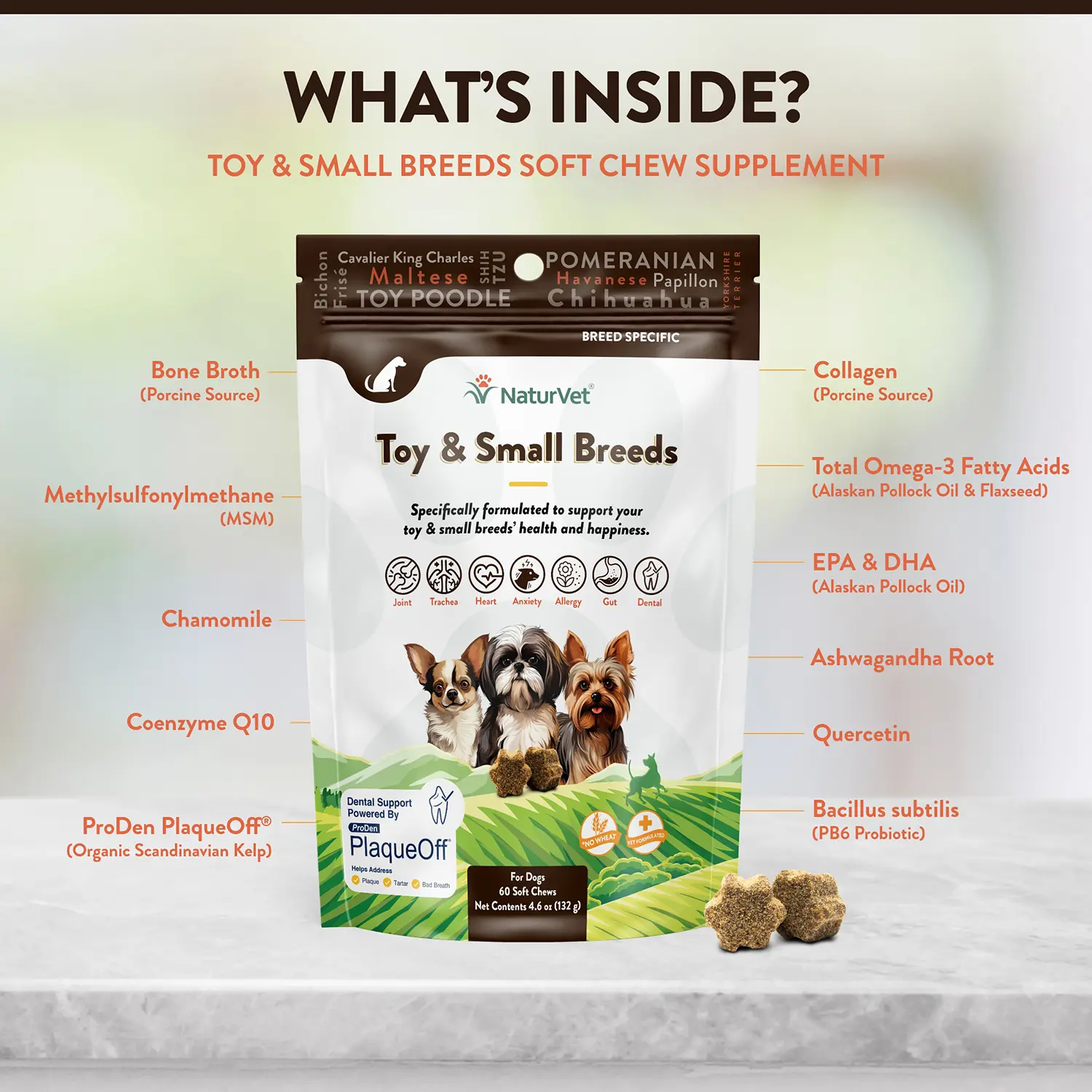 NaturVet Breed Specific Toy & Small Breeds Soft Chew Supplement for Dogs 60 Count 4.6-oz - Image 7