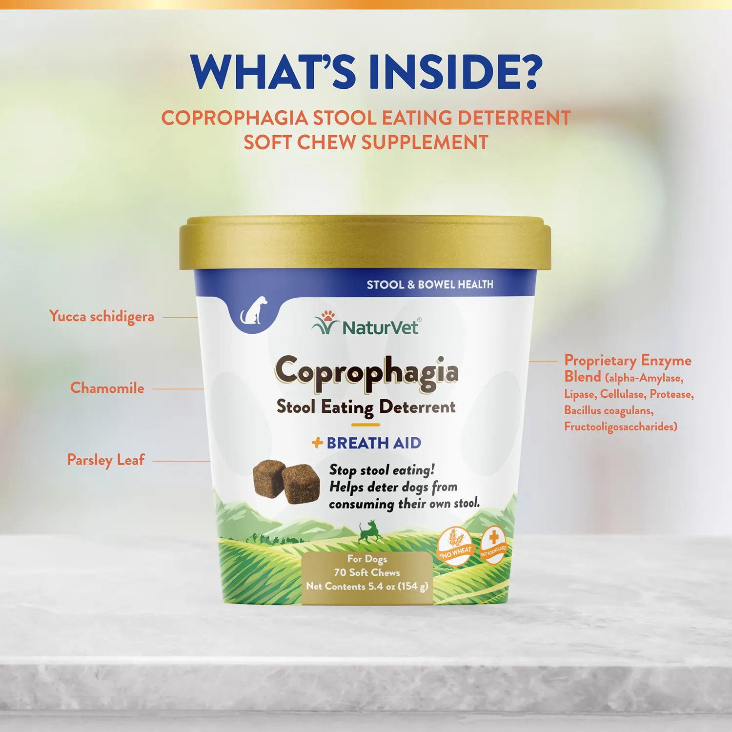 NaturVet Coprophagia Stool Eating Deterrent Soft Chews for Dogs 70 Count 5.4-oz - Image 3