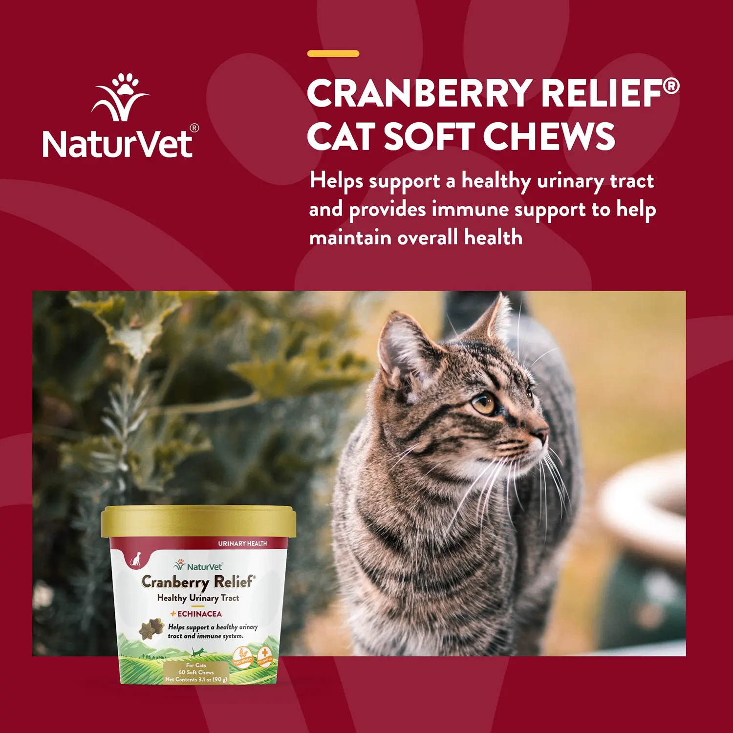 NaturVet Cranberry Relief Plus Echinacea Soft Chews for Cats 60 Count 3.1-oz - Image 3