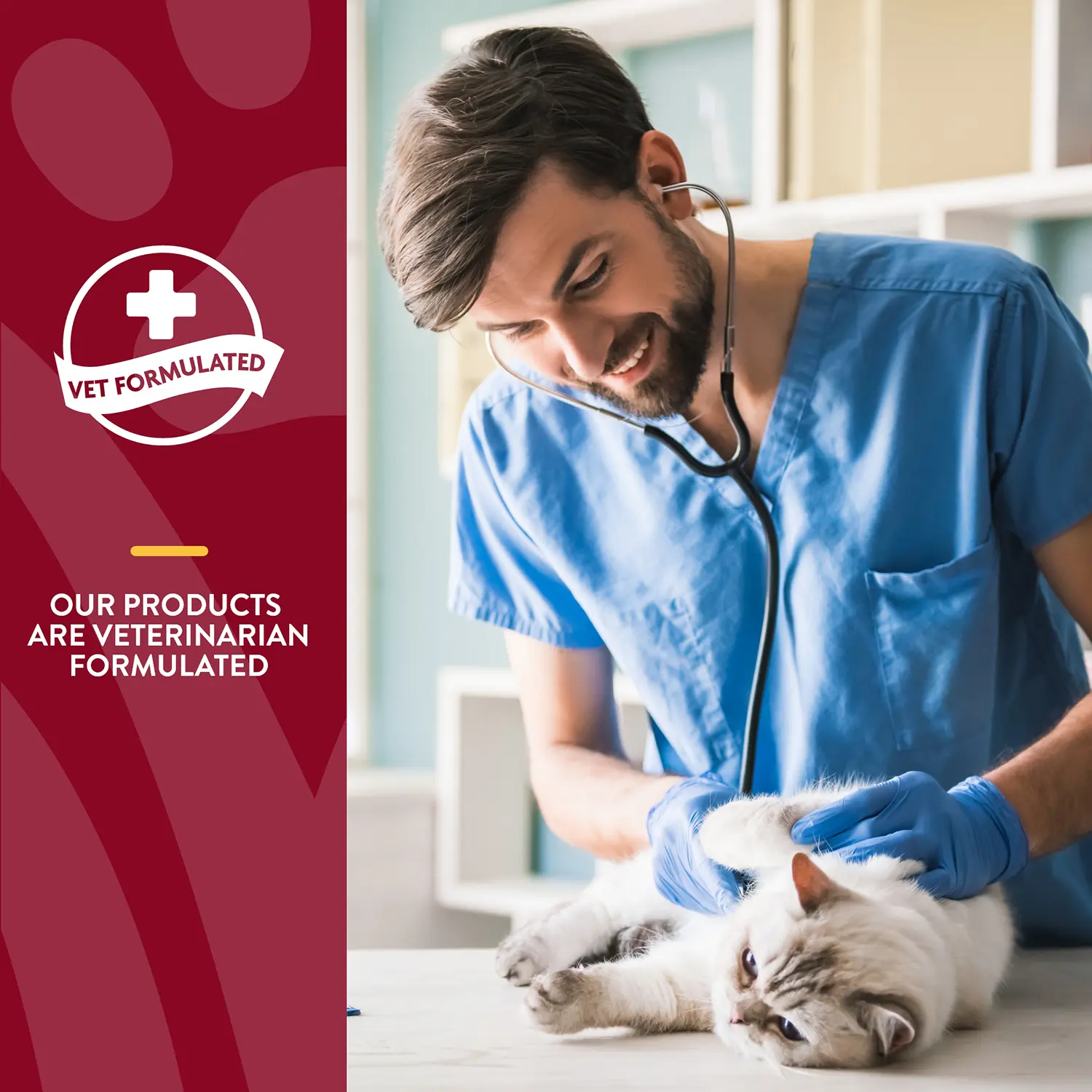 NaturVet Cranberry Relief Plus Echinacea Soft Chews for Cats 60 Count 3.1-oz - Image 5