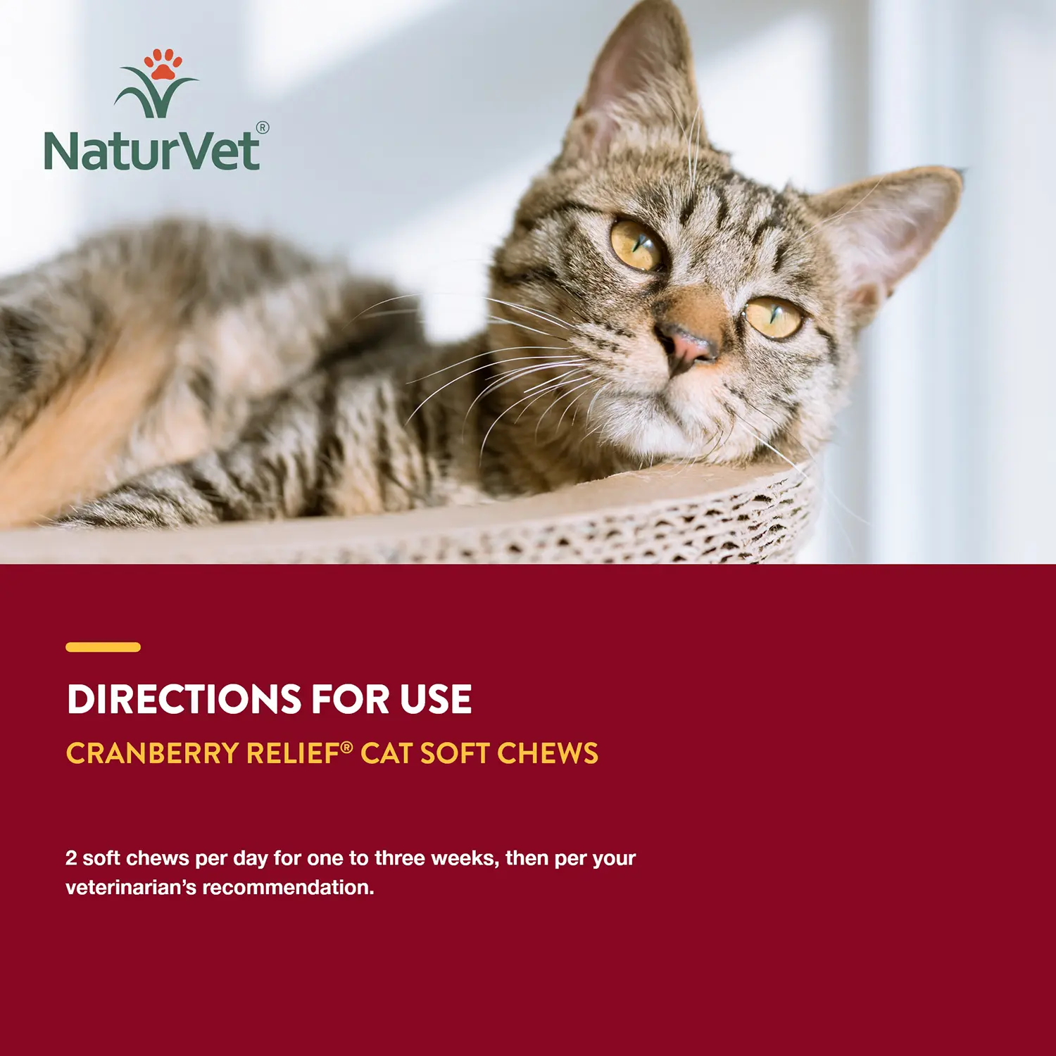 NaturVet Cranberry Relief Plus Echinacea Soft Chews for Cats 60 Count 3.1-oz - Image 8