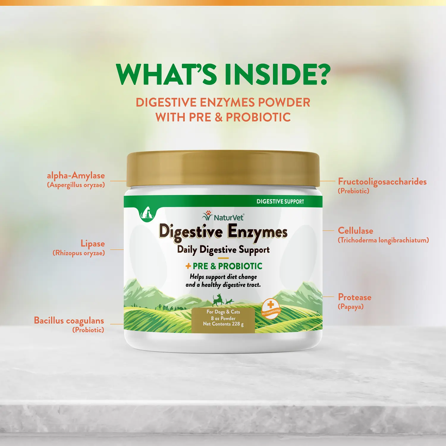 NaturVet Digestive Enzymes Plus Pre and Probiotic Powder for Dogs & Cats 8-oz - Image 6