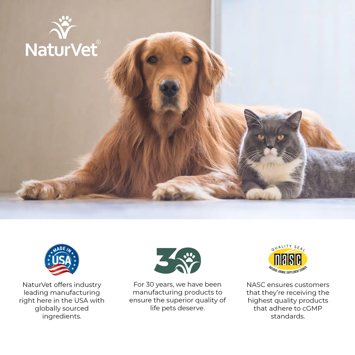 NaturVet Digestive Enzymes Plus Pre and Probiotic Powder for Dogs & Cats 8-oz - Image 9